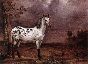 POTTER, Paulus, The Spotted Horse af